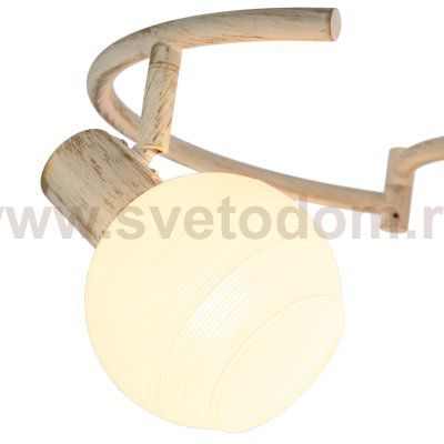 Спотовый светильник G81028/5C WT WT Gerhort