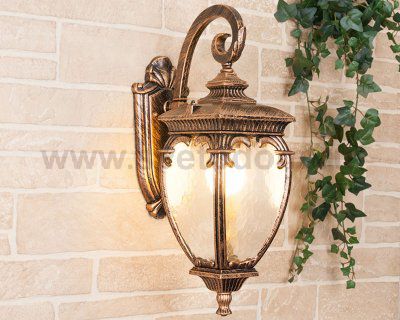 Уличный настенный светильник Andromeda D GLYF-8024D Elektrostandard черное золото