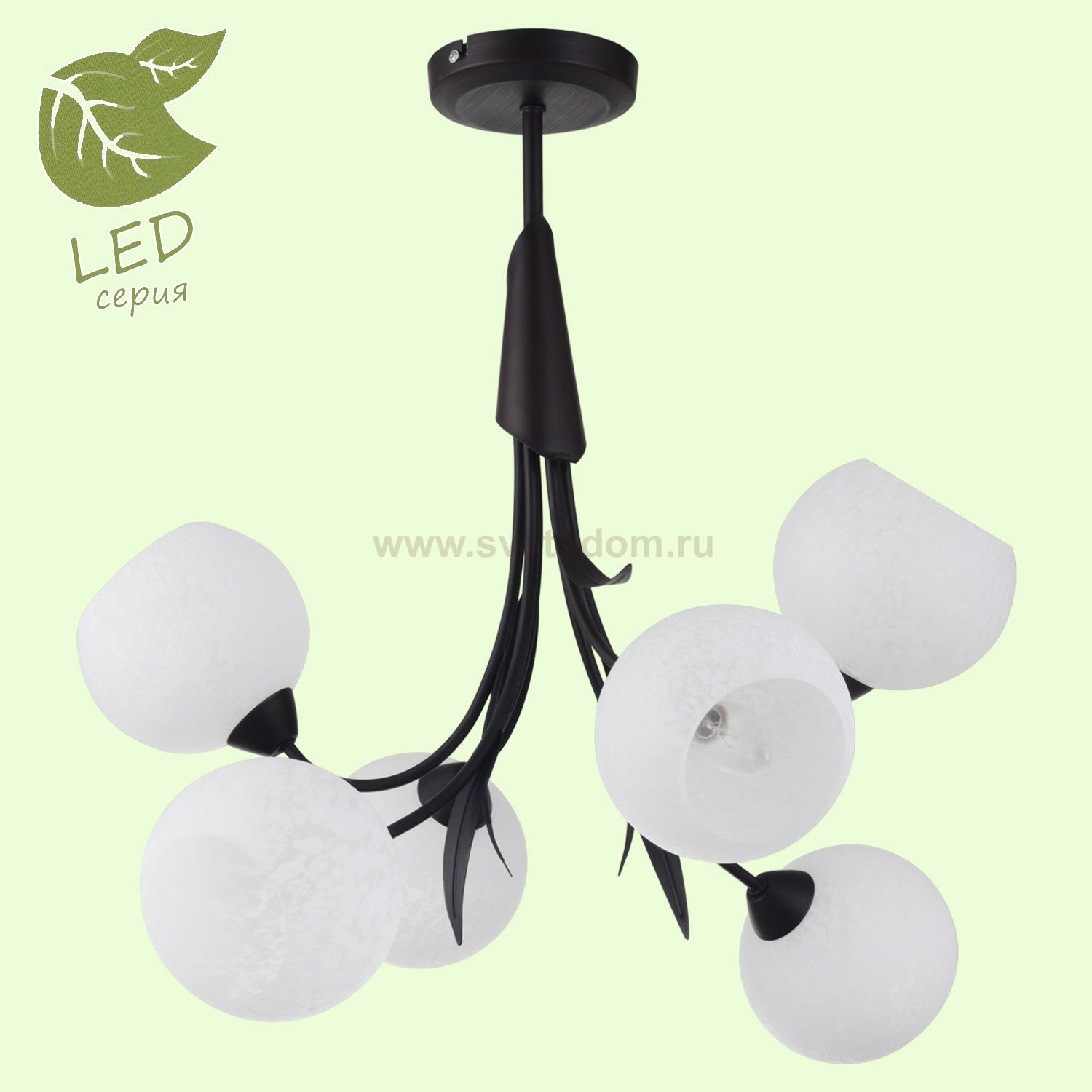 Люстра Lussole GRLSF-6293-06 BAGHERIA