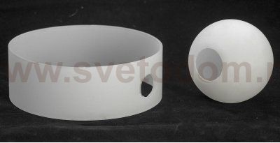 Настенный светильник бра Lussole GRLSN-0401-01 PALLOTTOLA