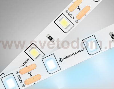 Светодиодная лента Ambrella Light GS1003 2835 60Led /4.8W m/ 12V IP20 6500K 5m/ кратность резки 50mm Ambrella GS1003 GS