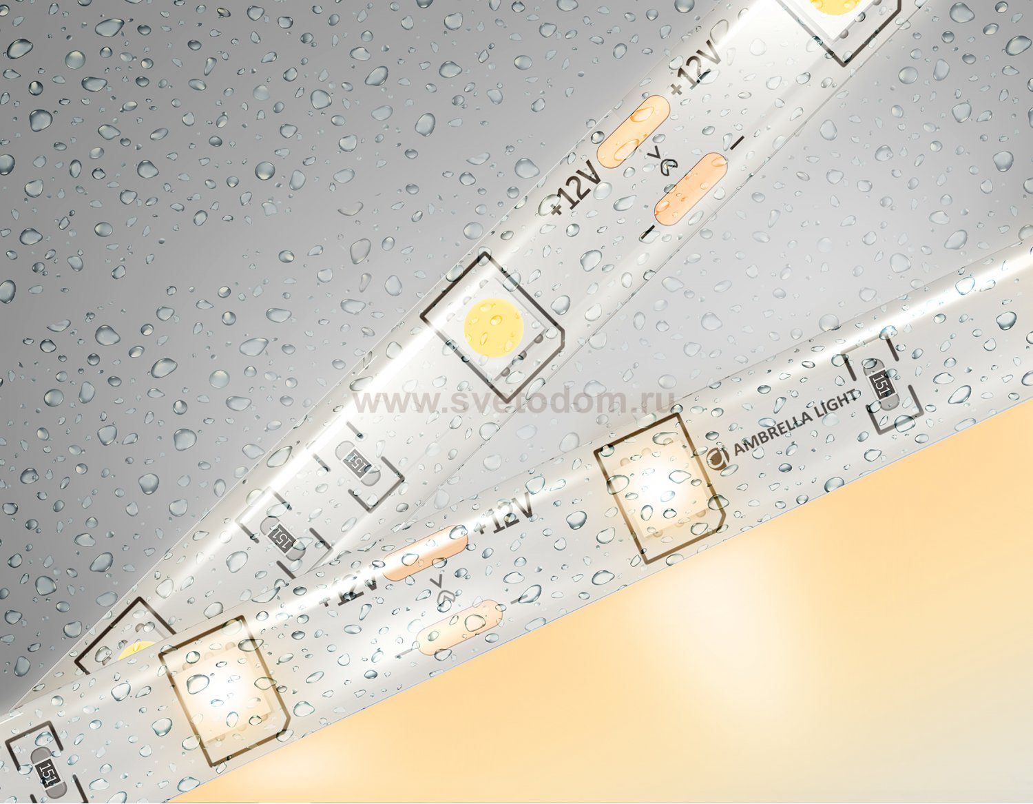 Светодиодная лента Ambrella Light GS1901 5050 30Led /7.2W m/ 12V IP65 3000K 5m Ambrella GS1901 GS