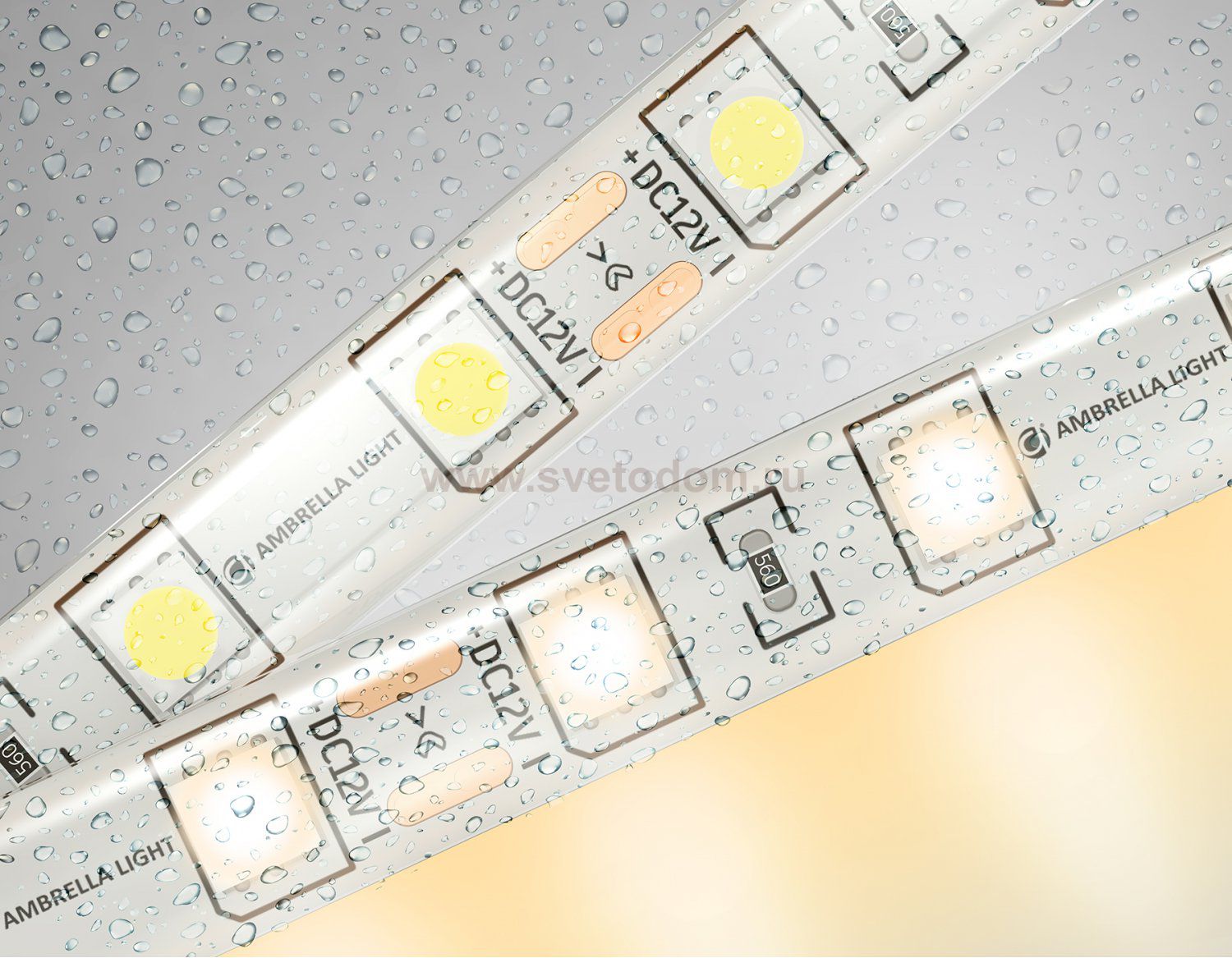 Светодиодная лента Ambrella Light GS2101 5050 60Led /14.4W m/ 12V IP65 3000K 5m Ambrella GS2101 GS