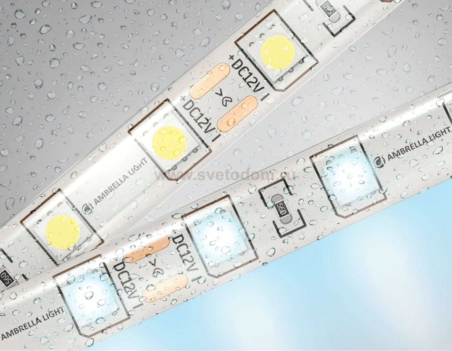 Светодиодная лента Ambrella Light GS2103 5050 60Led /14.4W m/ 12V IP65 6500K 5m Ambrella GS2103 GS