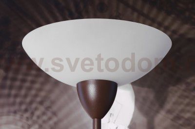 Торшер венге Colosseo 41209/F