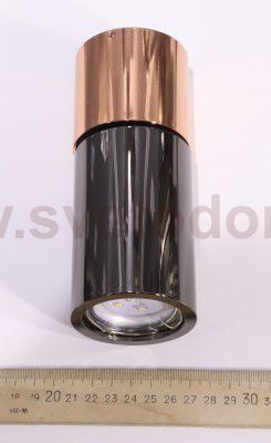 Потолочный накладной светильник Odeon light 3583/1C DUETTA