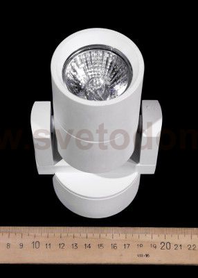 Светильник настенно-потолочный Citilux cl538511 Дюрен