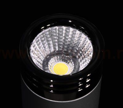 Потолочный накладной светильник Odeon light 3580/9CL LEDROX