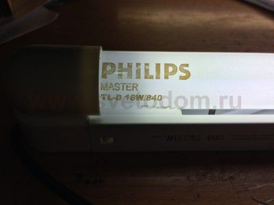Лампа люминесцентная Philips TLD 18W/840 G13 холодно-белая