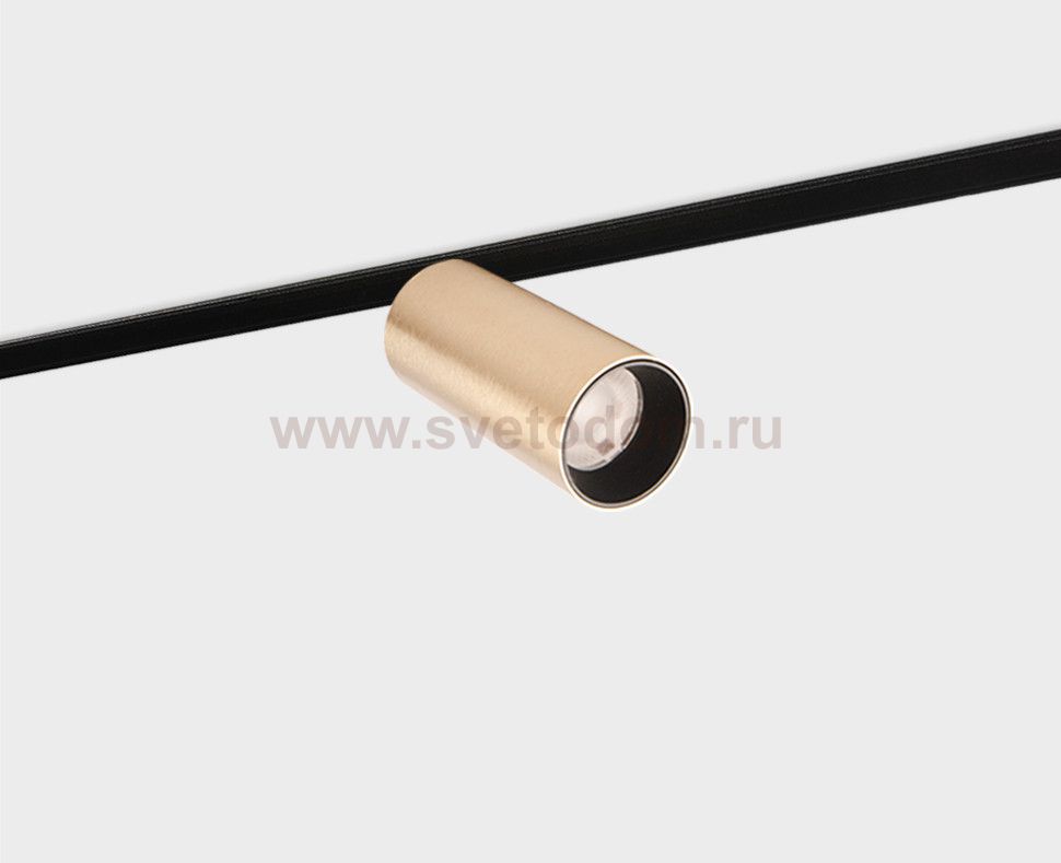 IT012-5026 gold 3000K светильник трековый
