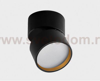 IT02-012 ring gold кольцо для светильника