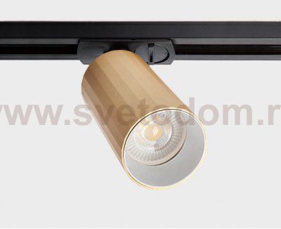 IT08-8010 gold светильник трековый