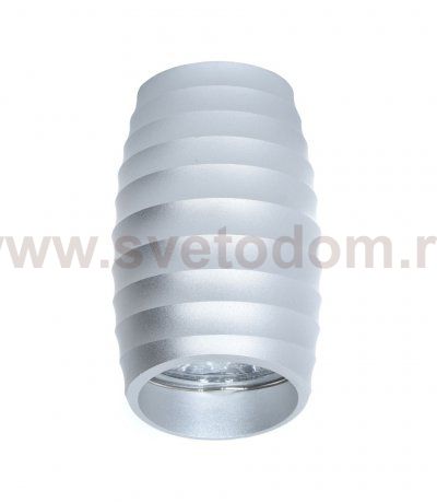 Накладной светильник Lumina Deco Grost LDC 8052-C SS-D70*H115 SL