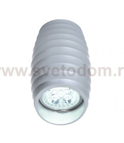 Накладной светильник Lumina Deco Grost LDC 8052-C SS-D70*H115 SL