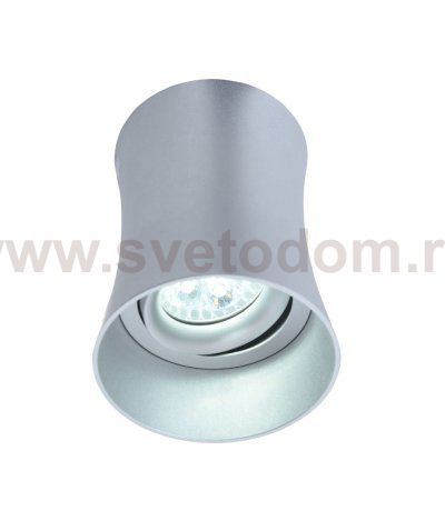 Накладной светильник Lumina Deco Malton LDC 8053-B SS-D85*H115 SL