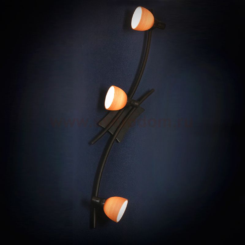 Светильник поворотный спот Lussole LSA-3001-03 SPILIMBERGO