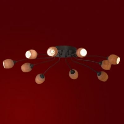 Люстра Lussole LSA-3007-10 SPILIMBERGO