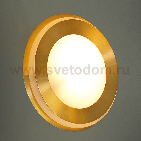 Светильник настенно-потолочный Lussole LSC-0411-01 REGGIANI