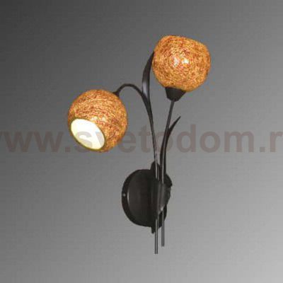 Светильник настенный бра Lussole LSF-6201-02 BAGHERIA