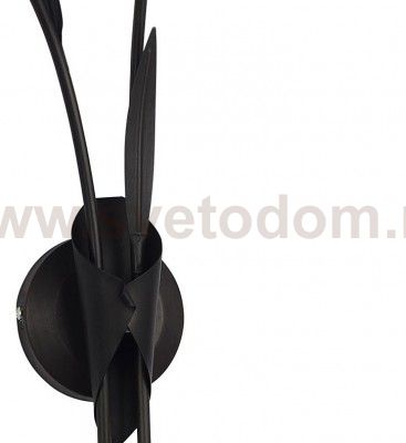 Светильник настенный бра Lussole LSF-6201-02 BAGHERIA