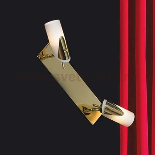 Светильник поворотный спот Lussole LSL-0401-02 Gessate