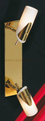 Светильник поворотный спот Lussole LSL-0401-02 Gessate