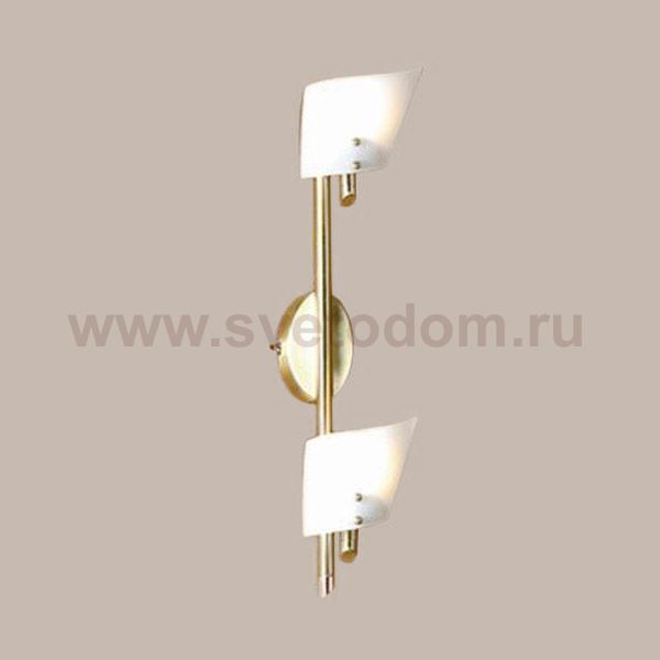 Светильник поворотный спот Lussole LSL-1301-02 Dragoni