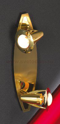 Светильник поворотный спот Lussole LSL-1501-02 FORENZA