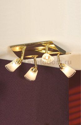 Светильник Lussole LSL-5001-04 Rasen