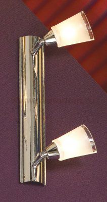 Светильник поворотный спот Lussole LSL-5091-02 RASEN