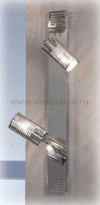 Светильник поворотный спот Lussole LSL-5601-02 CARPENARA