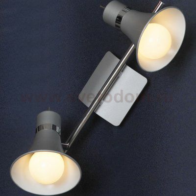 Светильник поворотный спот Lussole LSL-7201-02 MONTERADO