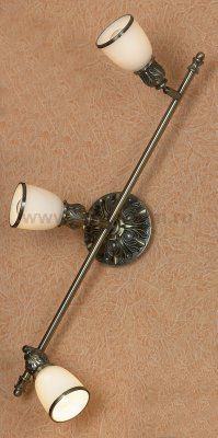 Светильник поворотный спот Lussole LSL-7301-03 FURLO