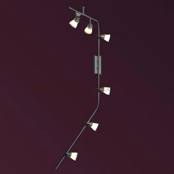 Светильник поворотный спот Lussole LSL-7609-06 ASSEGGIANO