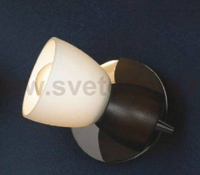 Светильник поворотный спот Lussole LSL-8201-01 MESSINA