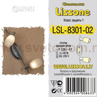 Светильник поворотный спот Lussole LSL-8301-02 LISSONE