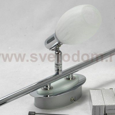 Светильник поворотный спот Lussole LSL-8301-03 LISSONE