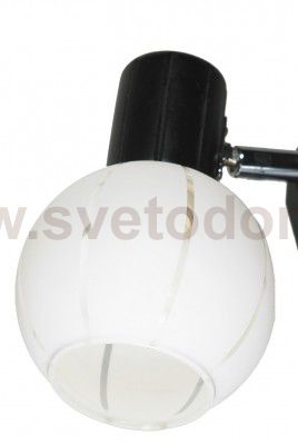 Светильник поворотный спот Lussole LSL-8901-01 Mara