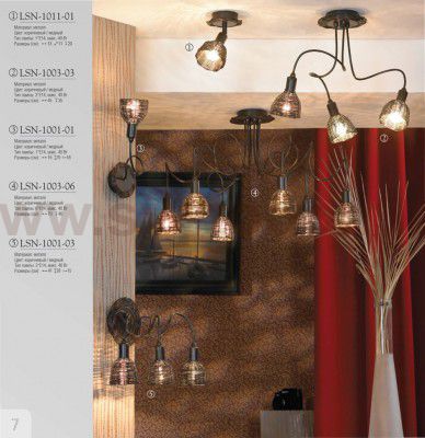 Светильник поворотный спот Lussole LSN-1011-01 ANCONA