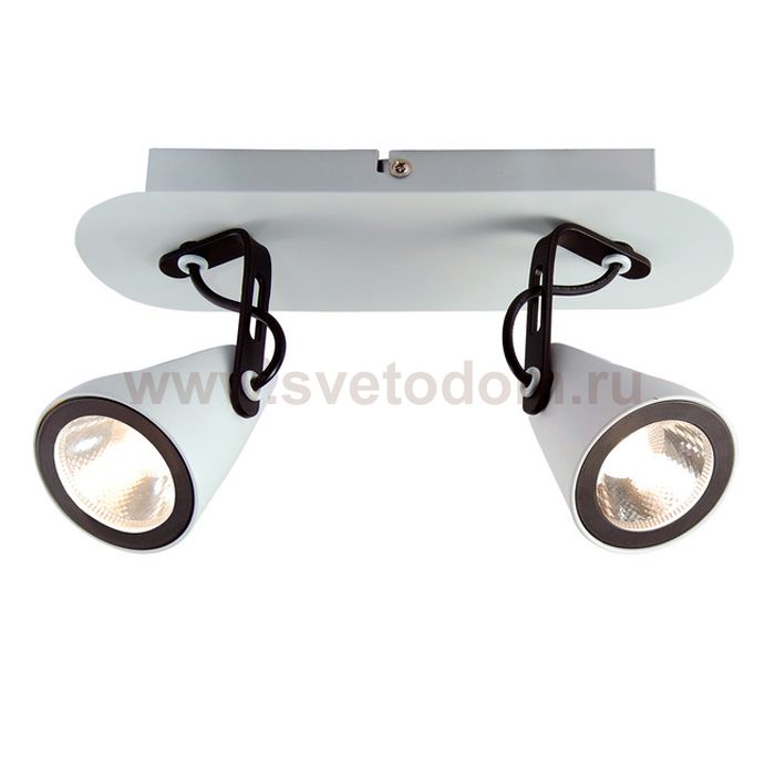 Светильник поворотный спот Lussole LSN-4101-02 MERANO