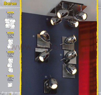 Люстра Lussole LSN-4301-04 Baron