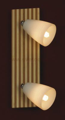 Светильник поворотный спот Lussole LSN-4801-02 Monticello