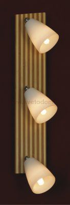 Светильник Lussole LSN-4801-03 Monticello