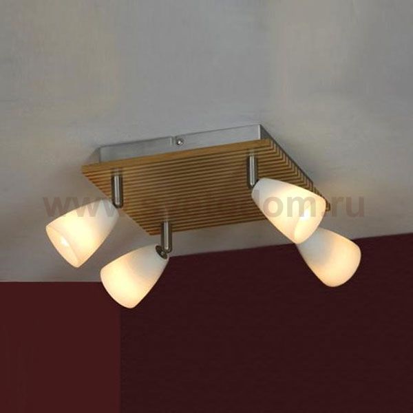 Светильник Lussole LSN-4801-04 Monticello