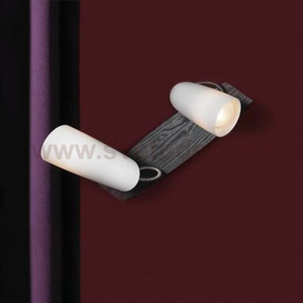 Светильник поворотный спот Lussole LSN-4901-02 SAVA