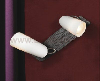 Светильник поворотный спот Lussole LSN-4901-02 SAVA