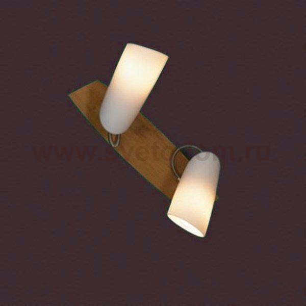 Светильник Lussole LSN-4911-02 SAVA