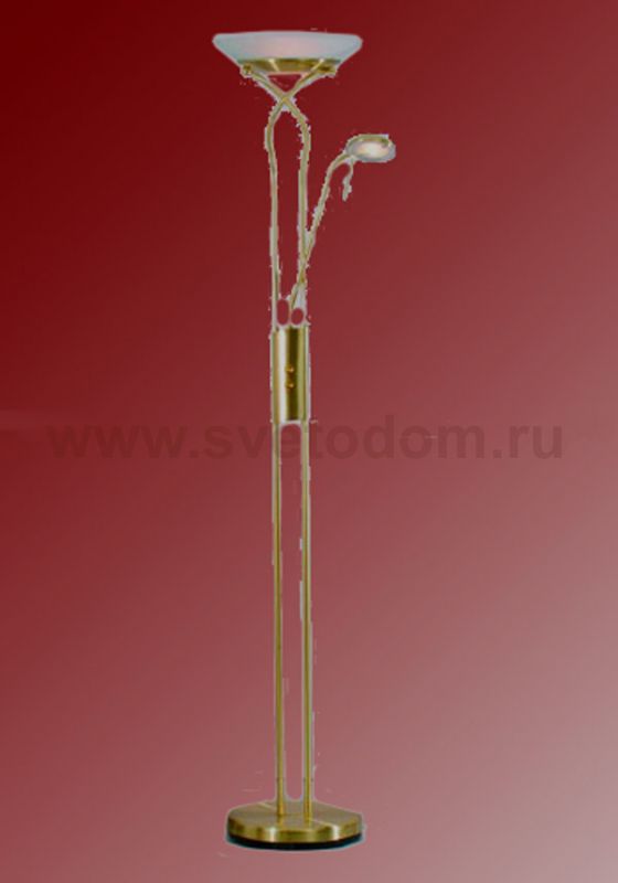 Торшер Lussole LSN-8245-02 Comfort