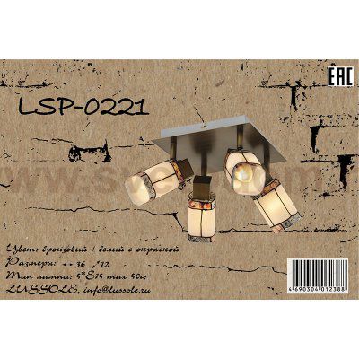 Светильник поворотный спот Lussole LSP-0221 PUEBLO