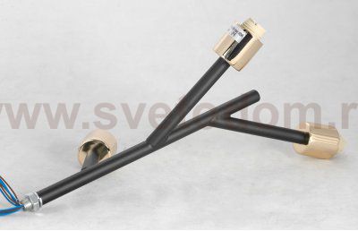 Люстры потолочные Lussole LSP-8332 ASTORIA